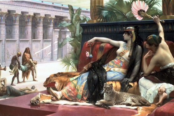Seven princesses with the name ‘Cleopatra’ are credited as sitting on the throne of Egypt. (Photo by Universal History Archive/Getty Images)