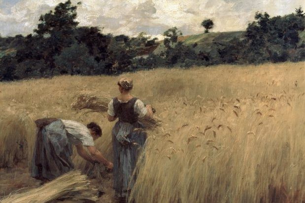 Agriculture - Getty Images