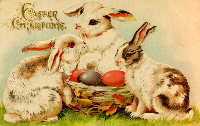 This Easter greetings card from the early 20th century depicts three rabbits sitting around a basket full of coloured eggs. (Photo by Buyenlarge/Getty Images) Easter bunny eggs