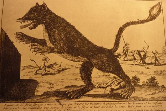 Illustration of the wolves of Gevaudan in France.