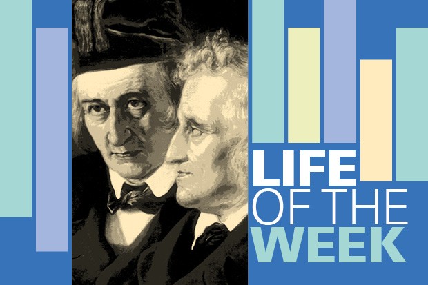 Life - The Brothers Grimm WL