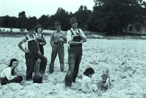 Farmers standing in a field