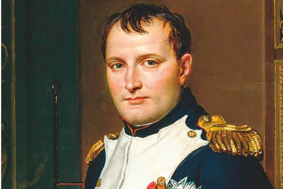 A portrait of Napoleon